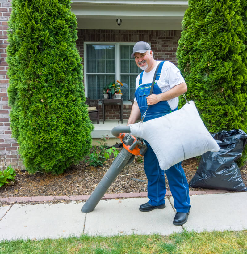 6 Best Leaf Vacuum Mulcher [ Nov. 2020 Reviews ]