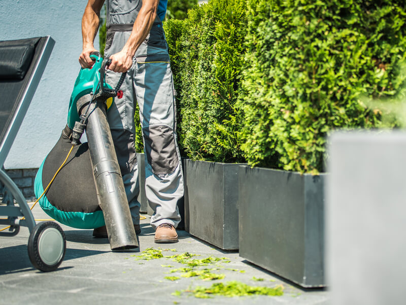 6 Best Leaf Vacuum Mulcher [ Nov. 2020 Reviews ]