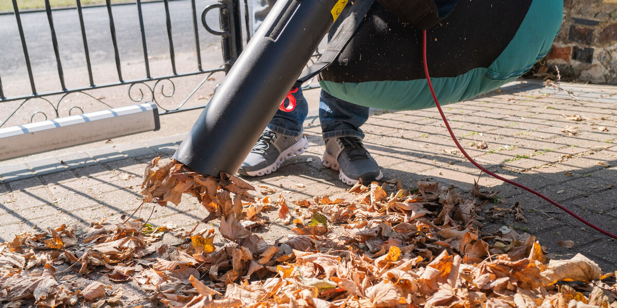 6 Best Leaf Vacuums with BuiltIn Mulcher and Blower in 2022